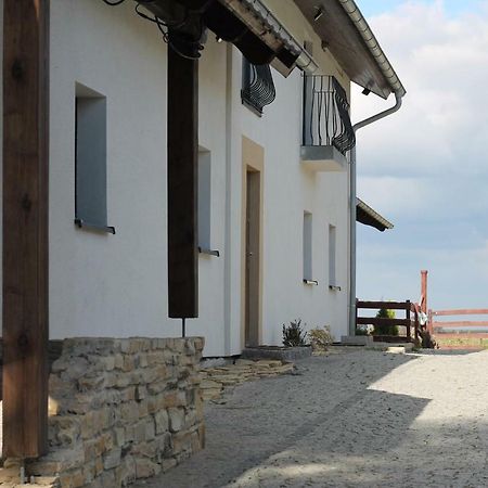 Olszowa Ranczo- Czarnocinヴィラ エクステリア 写真