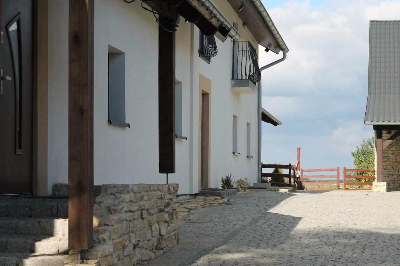 Olszowa Ranczo- Czarnocinヴィラ エクステリア 写真
